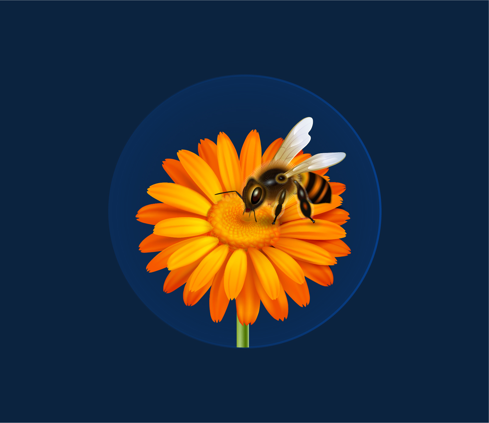 Bees Sucking Nectar