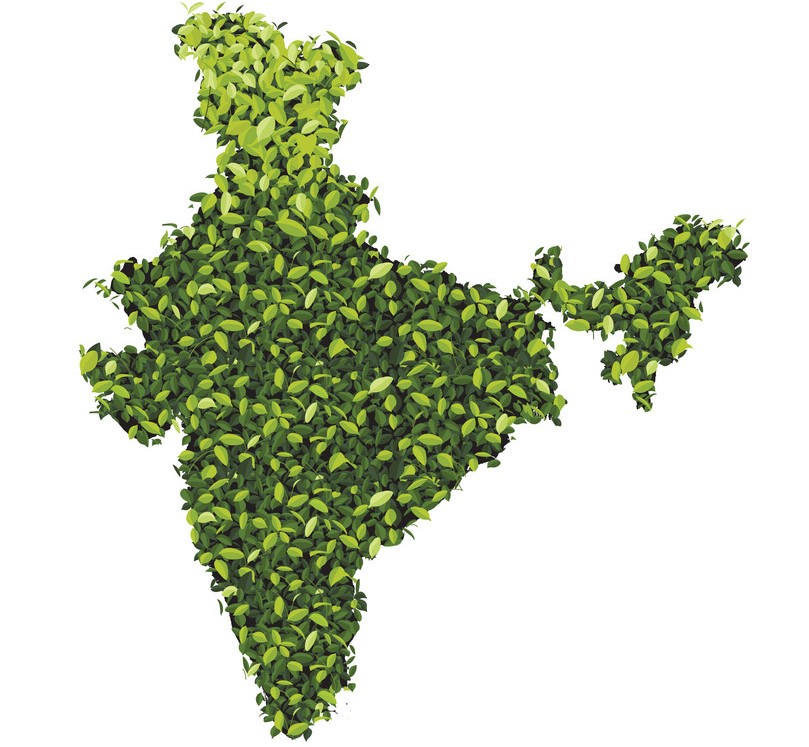 Forests-Our Lifeline