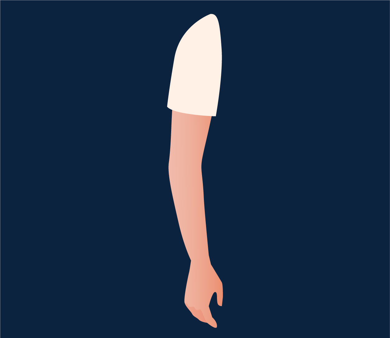 Arm bones
