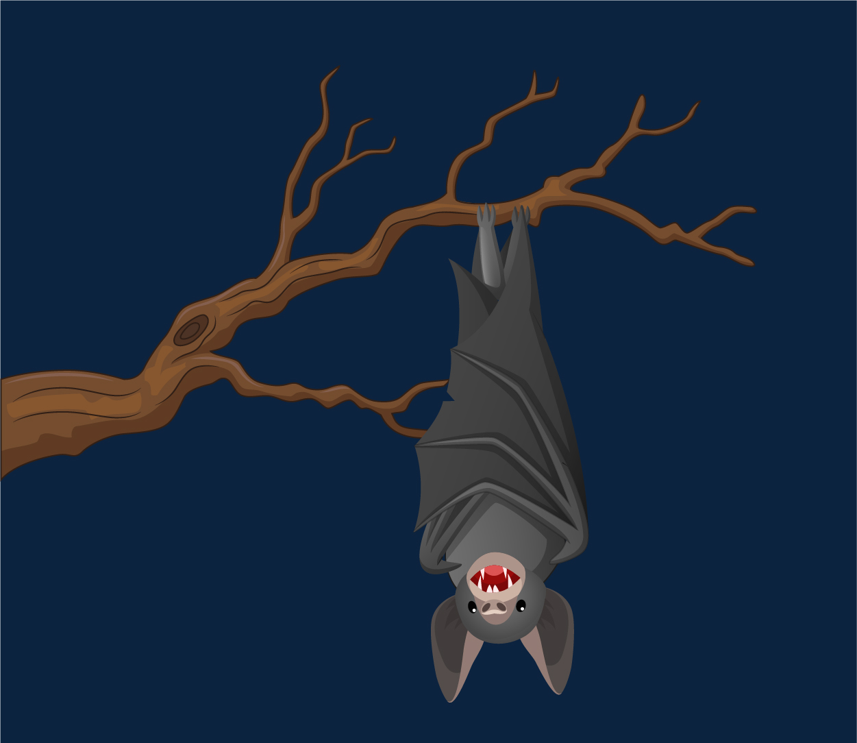 Bat