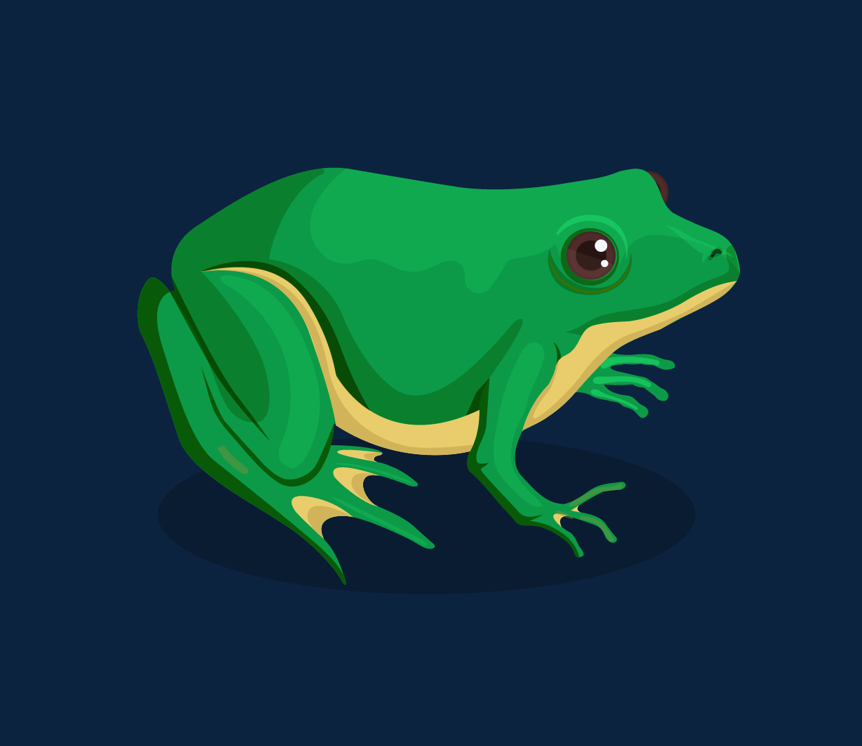 Frog Respiration