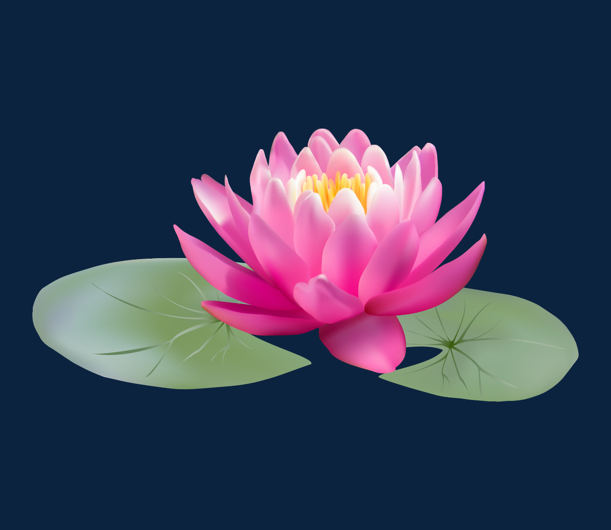 Lotus