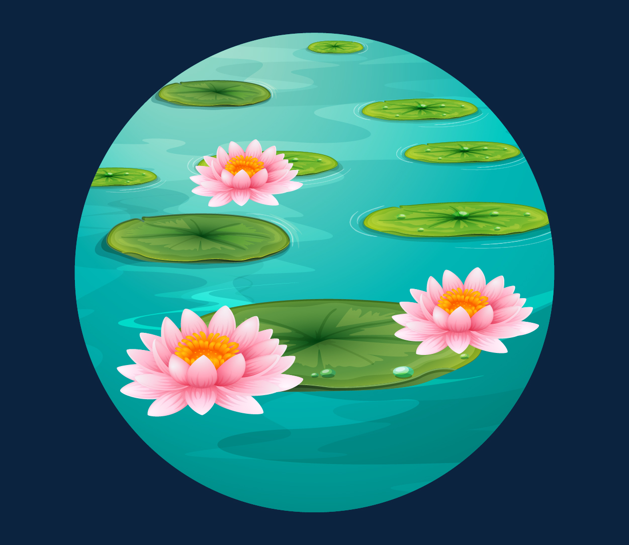 Water Lily