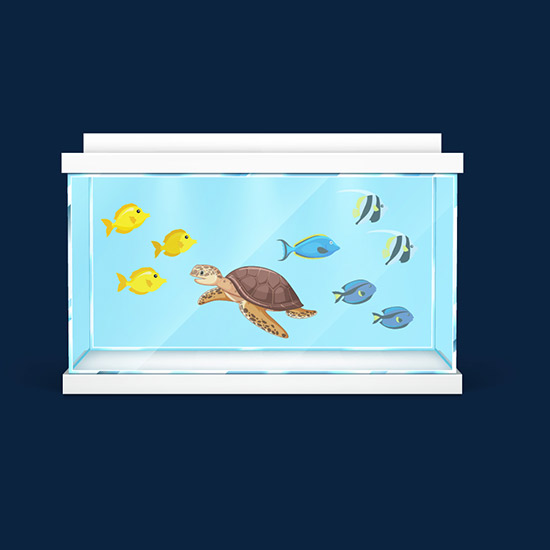 Aquarium
