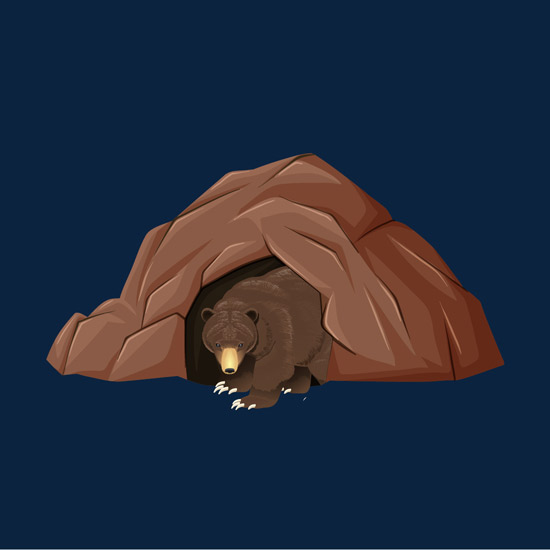 Bear Cave
