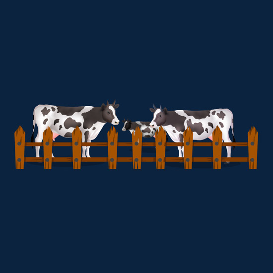 Cow Shelter