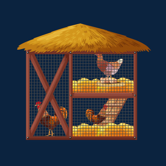 Hen Coop