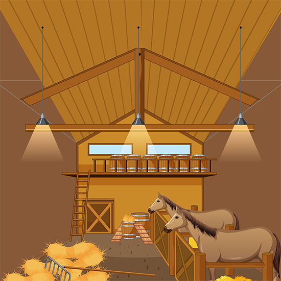 Horse Stable