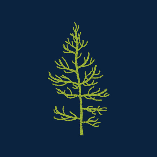 Monkey Tree
