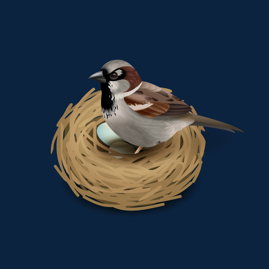 Nest