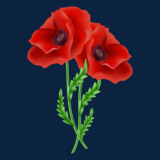 Poppy Flower