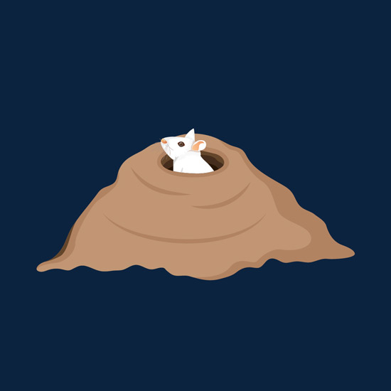Rat Hole