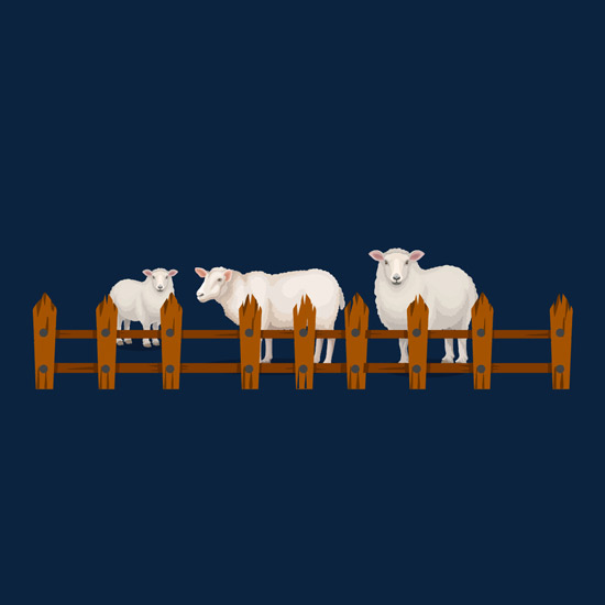 Sheep Pen
