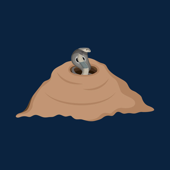 Snake Hole