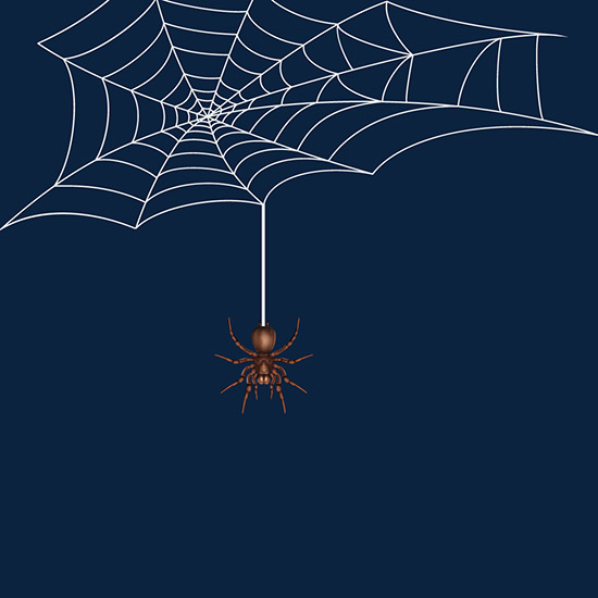 Spider Web