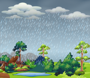 Acid Rain
