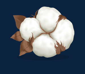 Examples of Fibres