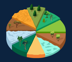 Habitat of Microbes