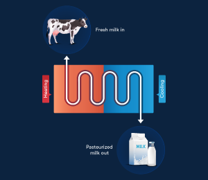 Pasteurisation