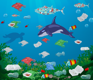 Plastic Pollution