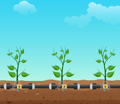 Drip Irrigation System